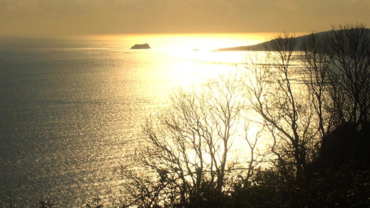 Beautiful Seaside One Bedroom Apartment Shaldon Exteriér fotografie